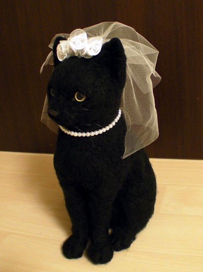 画像: 黒猫